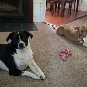 Meet your Posher, Kim